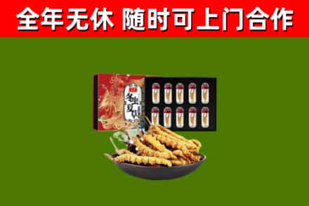 廉江回收冬虫夏草价格